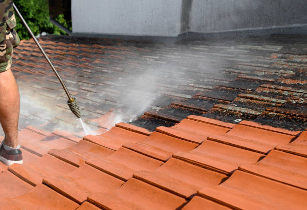 Best Concrete Pressure Washing  in Orangeburg, NY