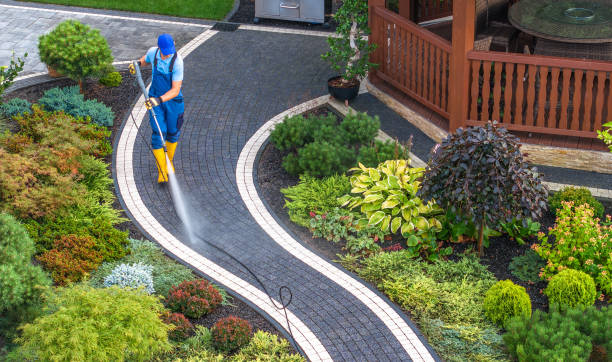 Best Pressure Washing Driveway  in Orangeburg, NY